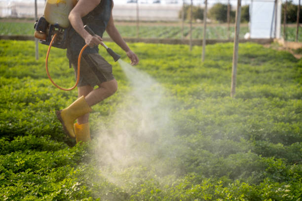 Best Pest Removal Services  in Greensburg, KY