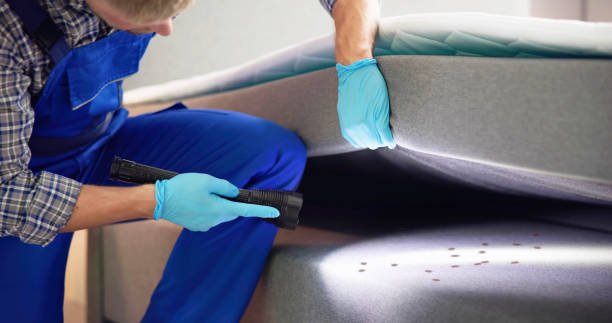 Best Pest Removal Services  in Greensburg, KY