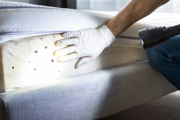Best Pest Inspection Near Me  in Greensburg, KY