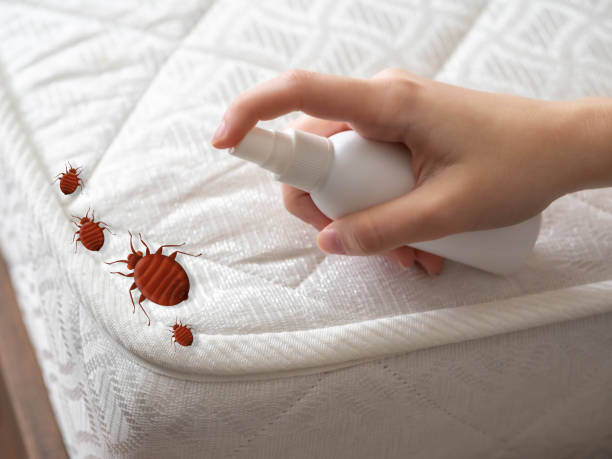 Best Ant Control Services  in Greensburg, KY