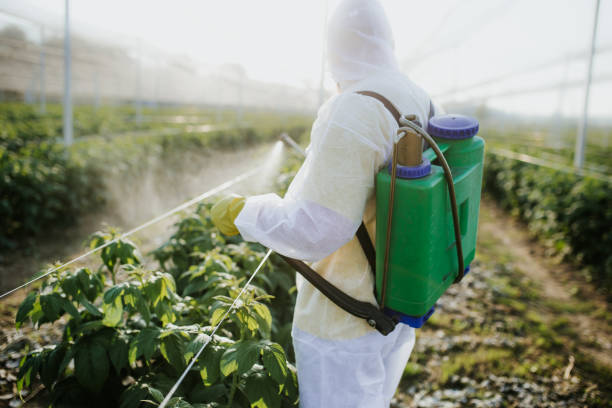 Trusted Greensburg, KY Pest Control Experts